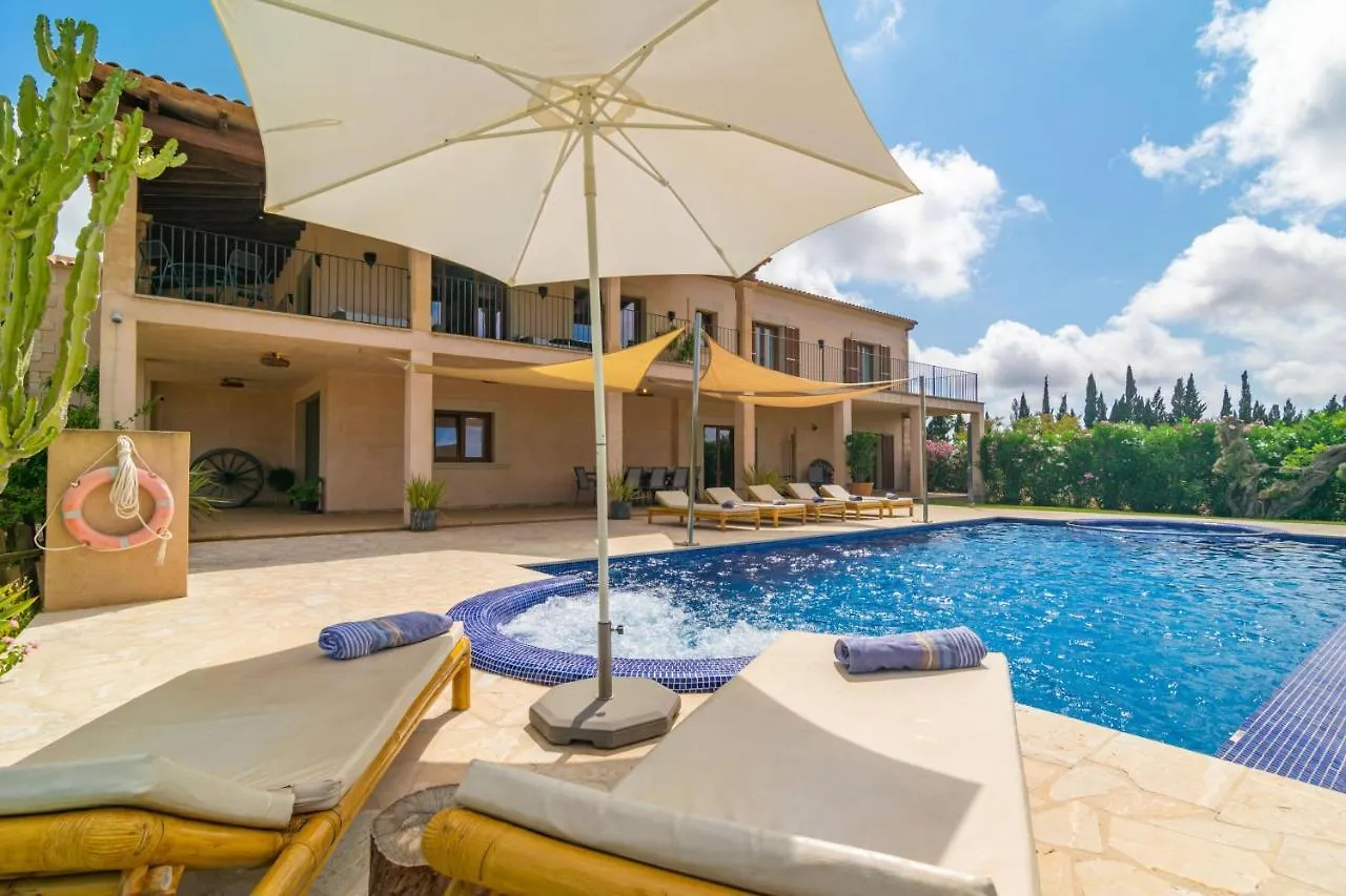 Villa S'Albarcoquer Vila Felanitx